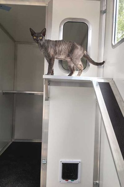 Walk In Insulated Cattery Unit
